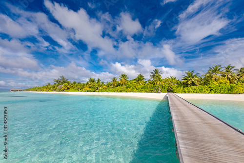 Tropical beach, Maldives. Jetty pathway into tranquil paradise island. Palm trees, white sand and blue sea, perfect summer vacation landscape or holiday banner. Beautiful tourism destination, Maldives