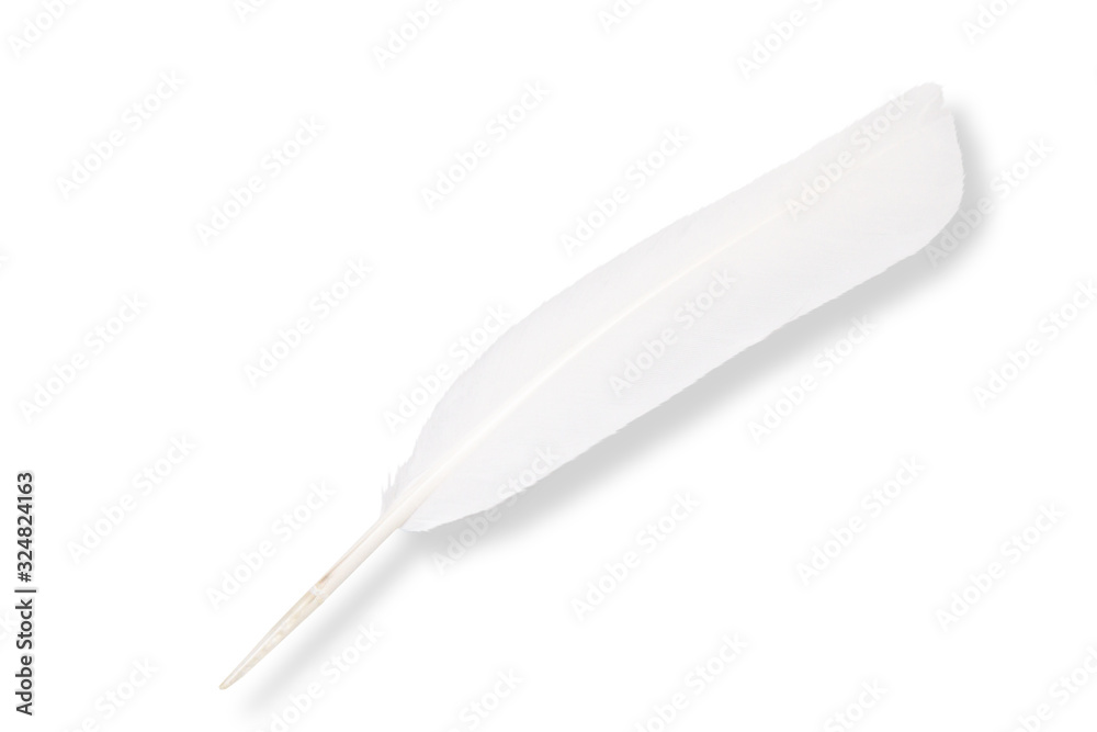 white feather isolated on white background white feather isolated on white background