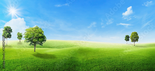 Beautiful landscape view of Green trees with grass natural meadow field and little hill with white clouds and blue sky in summer seasonal.
