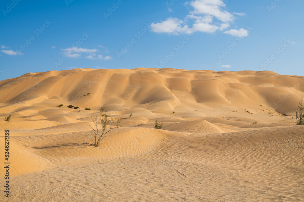 Amazing high sand dunes in Oman