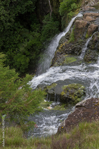 Whangarei Otuihau Falls New Zealand