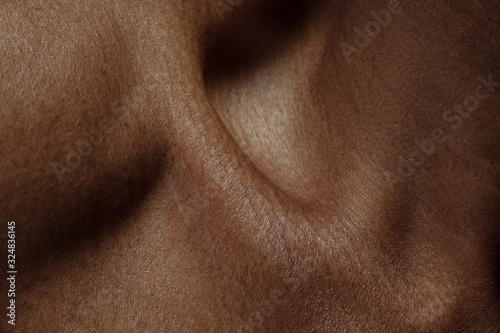 Collarbones. Detailed texture of human skin. Close up shot of young african-american male body. Skincare, bodycare, healthcare, hygiene and medicine concept. Looks beauty and well-kept. Dermatology.
