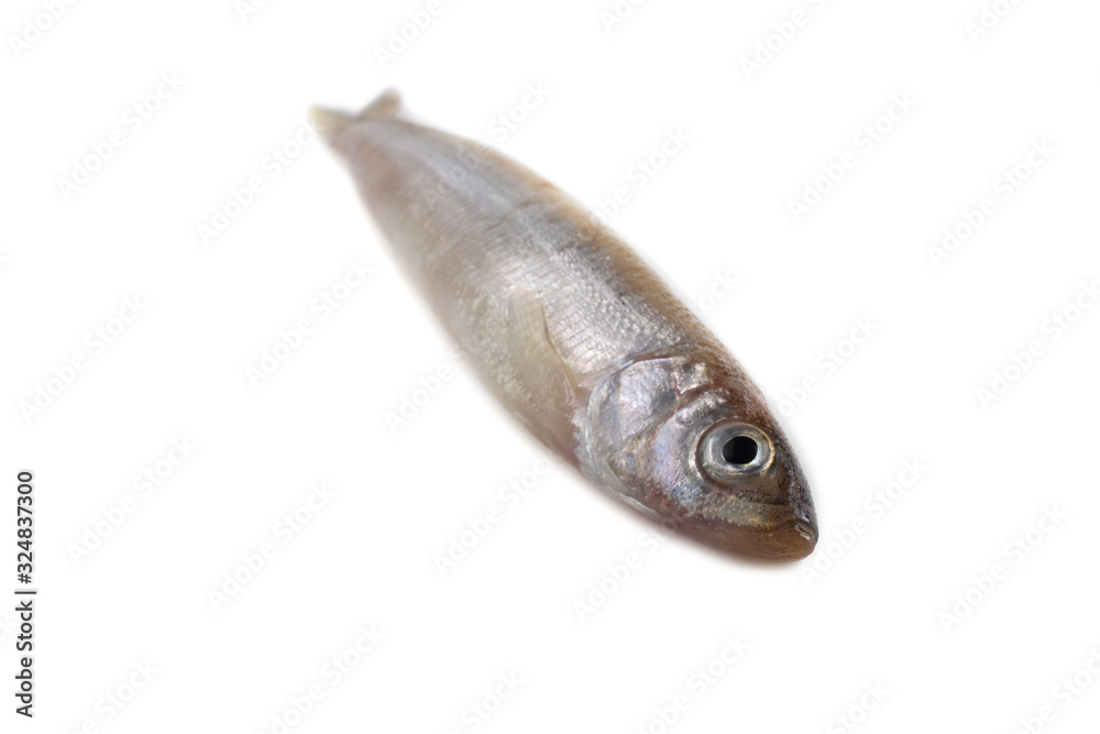 Smelt fish isolated on white. Pacific smelt variety Smelt fish isolated on white. Pacific smelt variety