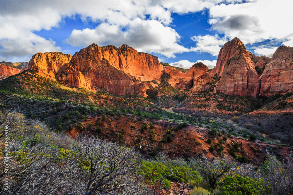 Kolob Canyon Cliffs