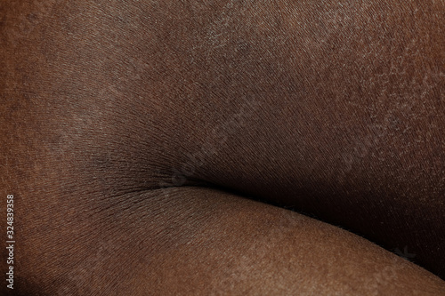 Hand. Detailed texture of human skin. Close up shot of young african-american male body. Skincare  bodycare  healthcare  hygiene and medicine concept. Looks beauty and well-kept. Dermatology.