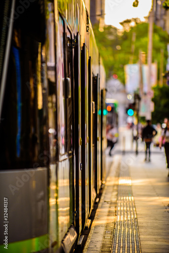 A famous Melbourne tram is stopped at a city tram stop in the golden late afternoon light.