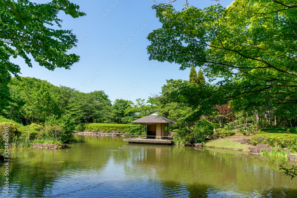 Obraz premium Japoński ogród