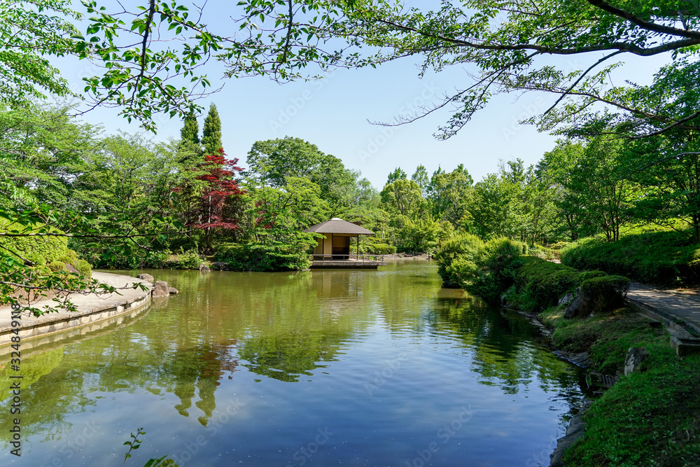 Obraz premium 日本庭園