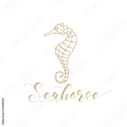 Seahorse vector logo for seafood store and fish market shop. Marine seahorse and starfish of premium quality stars with golden calligraphy in thin line drawing art design and pencil hatching style