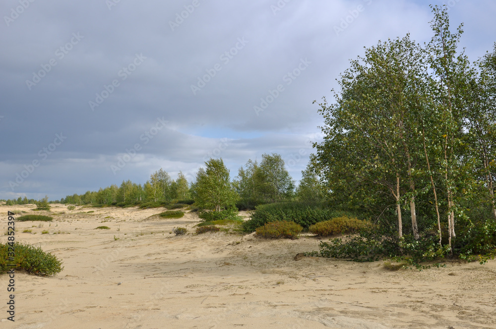 Heavy dark blue with tint of grey clouds in the cold summer sky over green forest growing in the sand. North Heavy dark blue with tint of grey clouds in the cold summer sky over green forest growing in the sand. North