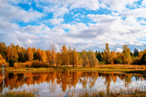 Colors of fall. Beautiful autumn landscape with forest and lake.