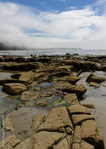 Rocky coast in the Pacific-Rim-Nationalpark, Vancouver Island, North-America, Canada, British Colombia, August 2015 photo