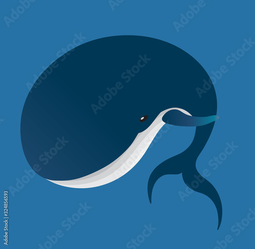 Photography isolated vector striped whale animal gradient color