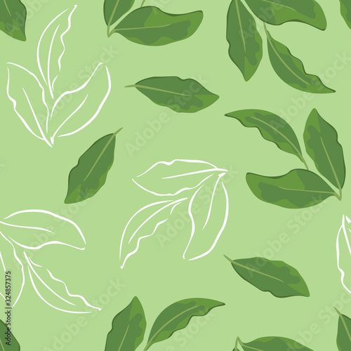 Bay leaf seamless pattern. Vector cartoon color illustration of green herbs on green background. White outline.