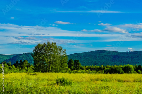 green field and blue sky