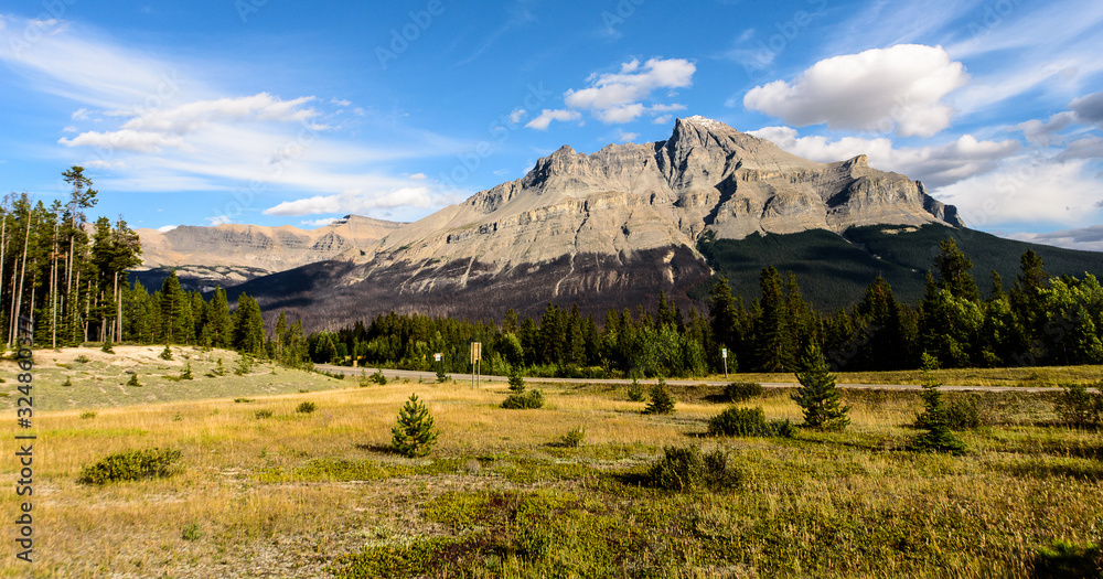 Fototapeta premium Mountain after a forest fire I , Rocky Mountains, North-America, Canada, British Colombia, August 2015