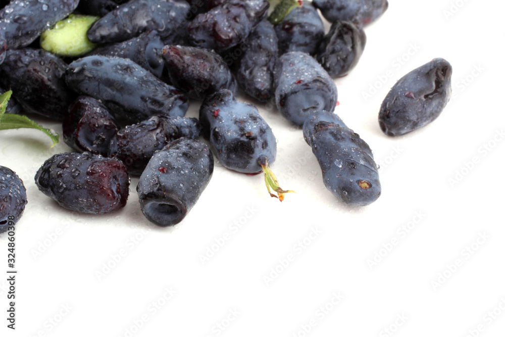 Honeysuckle berries background Honeysuckle berries background