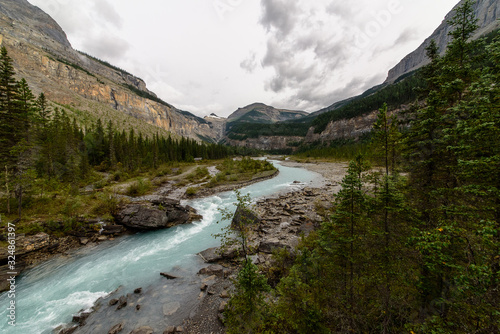 Valley in the Mount Robson provincial park, Rocky Mountains, North-America, Canada, British Colombia, August 2015