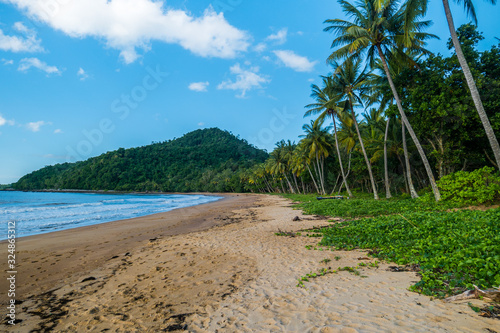 Tropical Beach with palms Australia