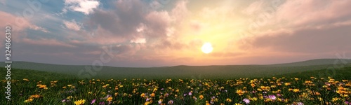 Beautiful panorama of a green meadow with flowers at sunset, panorama on the sunset lawn, meadow at sunrise, light in the sky with clouds over the meadow