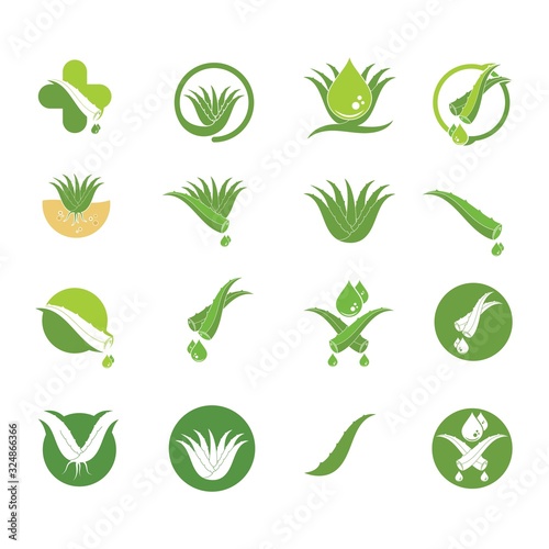 aloevera logo icon vector illustration design