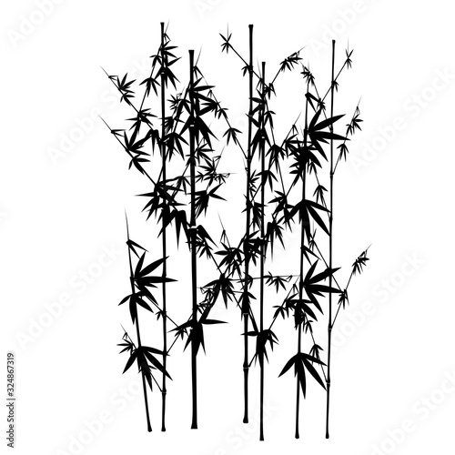 Fototapeta Naklejka Na Ścianę i Meble -  Seamless pattern in black and white of the bamboo, Vector illustration of bamboo, design of Chinese and Japanese trees,  Monochrome trees wallpaper for cards and web.