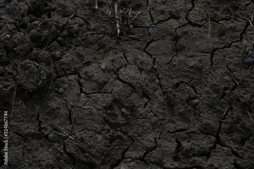 Terreno agricolo bruciato dal fuoco di un incendio