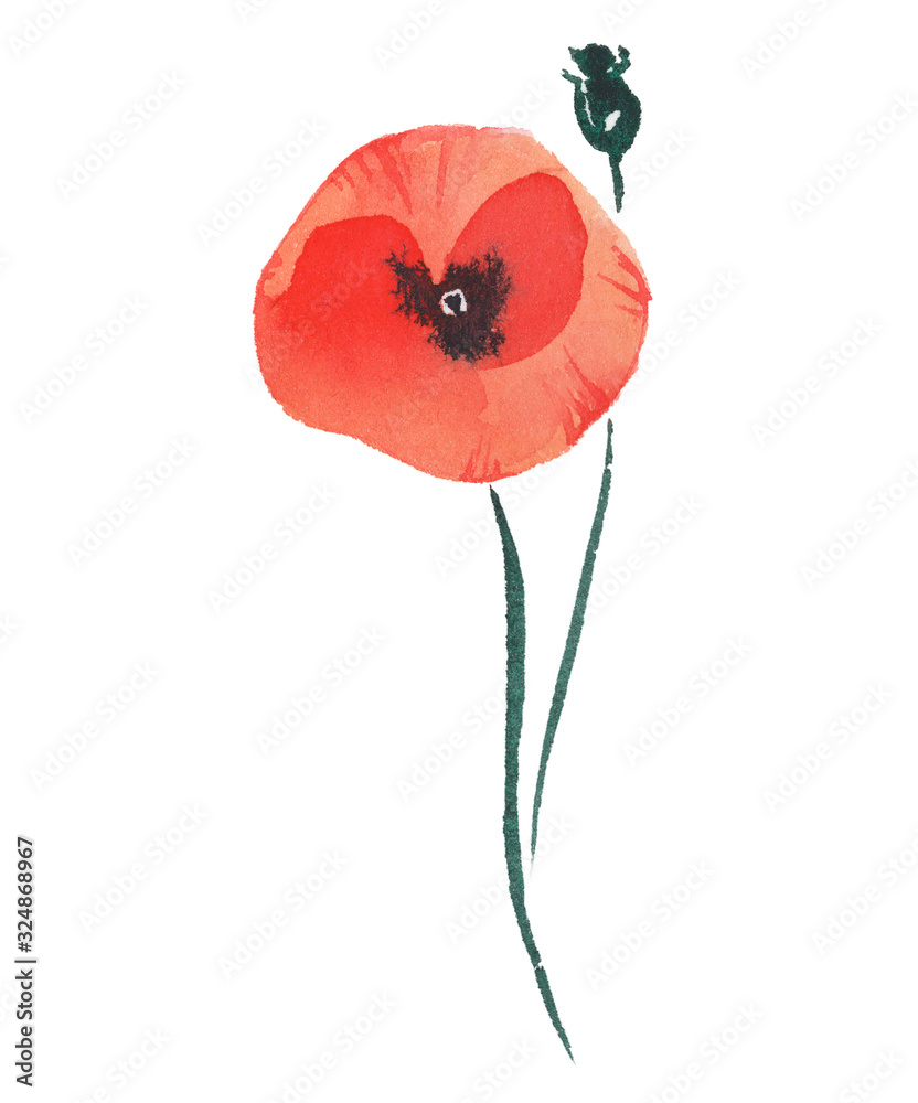 Obraz Watercolor poppy red flower