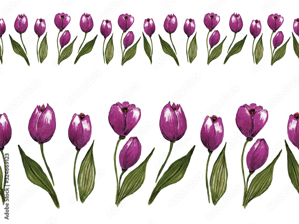 Seamless floral border made of stylish purple tulips. Hand drawn watercolor background on white. Good for textile, paper and card design. 