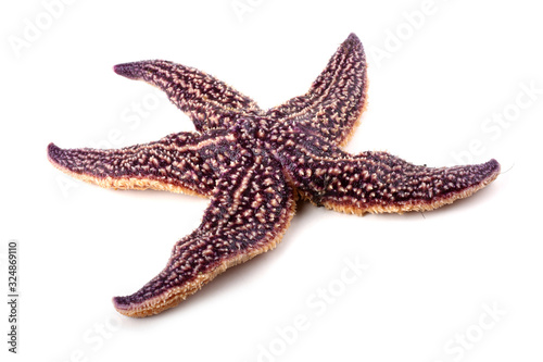 Starfish