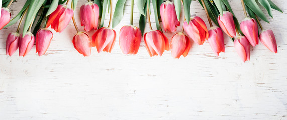 Pink tulips bouquet border on white wooden background from above. Top view of red flower bud frame. Spring seasonal holiday and easter greeting card design layout.
