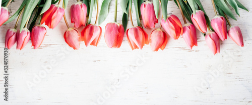 Pink tulips bouquet border on white wooden background from above. Top view of red flower bud frame. Spring seasonal holiday and easter greeting card design layout.