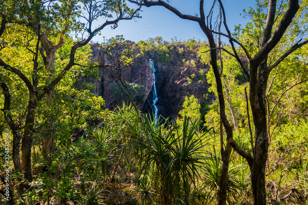 Tropical Waterfall Rainforest Top End Australia Tropical Waterfall Rainforest Top End Australia
