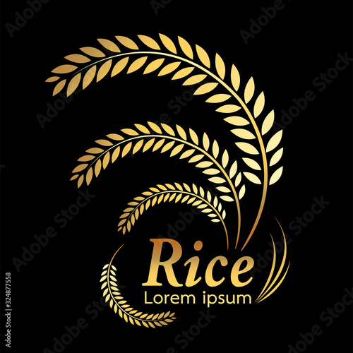 grain organic natural product ,Rice gold , rice.
