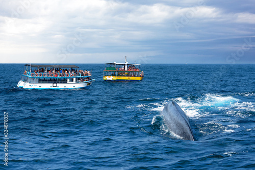 Mirissa, Sri Lanka: Tourist boats in ocean on whale safari.