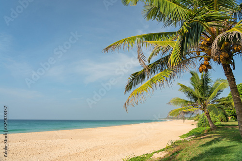 Ocean sand beach landscape view with coconut palms  Sri Lanka