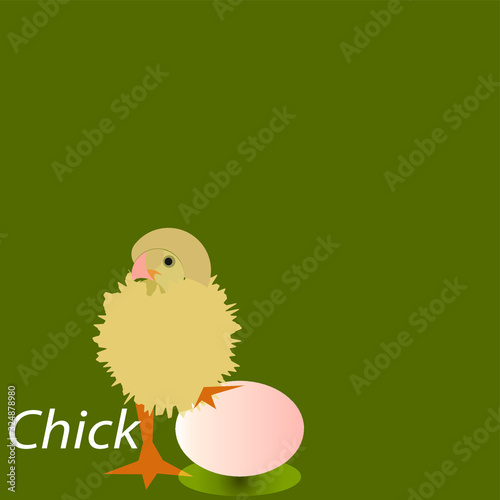 easter chicken and egg