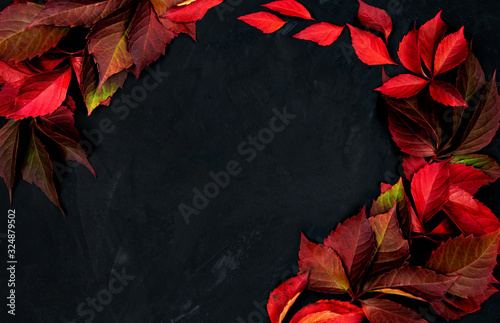 autumn background. red leaves on black textured background. fallen leaves. top view. place for text