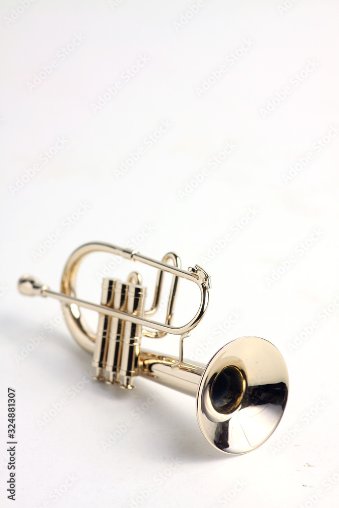 fluegelhorn isolated on white background