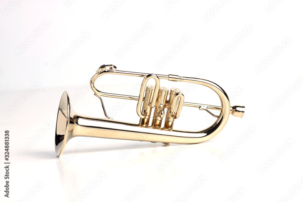 Obraz premium fluegelhorn isolated on white background