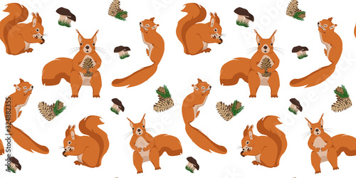 Vector seamless pattern with proteins and cones. Illustration with a set of squirrels