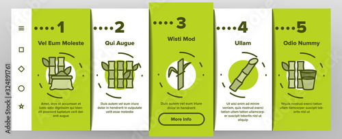 Sugar Cane Agriculture Onboarding Icons Set Vector. Rum Bottle, Water Glass, Bio Organic Sugar Sweet Nutrition Illustrations