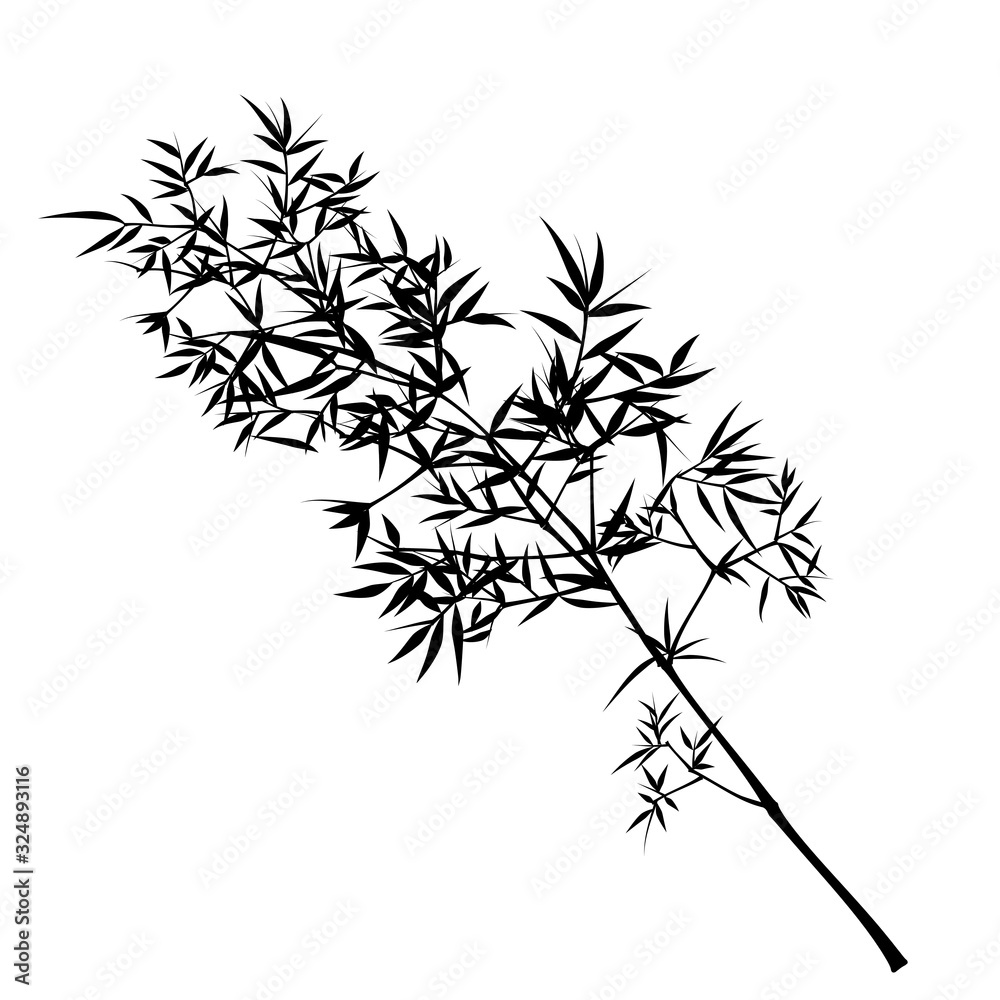 Obraz premium Seamless pattern in black and white of the bamboo, Vector illustration of bamboo, design of Chinese and Japanese trees, Monochrome trees wallpaper for cards and web.