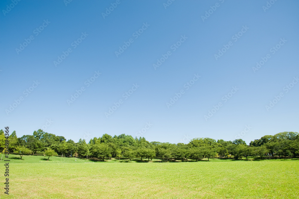 青空と芝生の公園