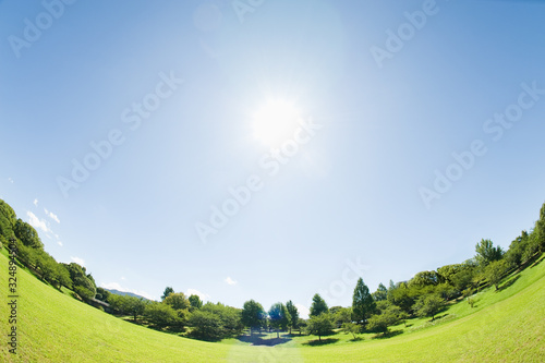 太陽と青空と芝生の公園