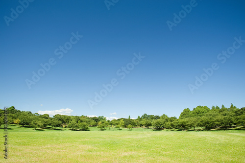 青空と芝生の公園