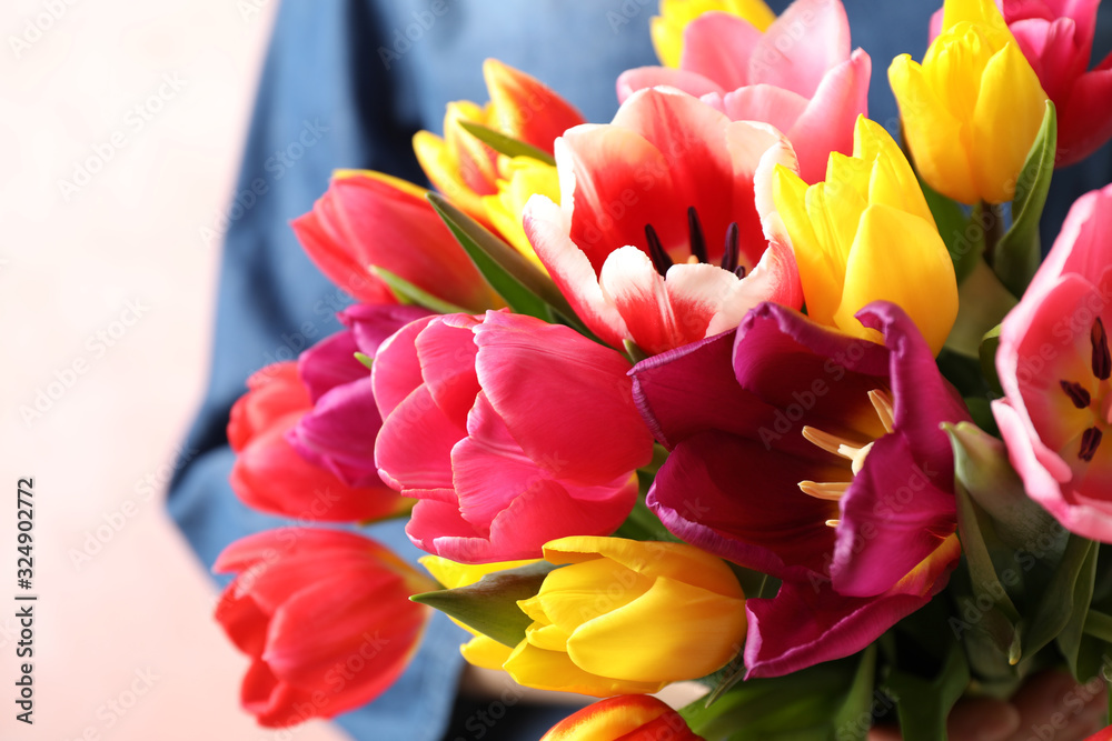 Woman holding beautiful spring tulips on light background, closeup