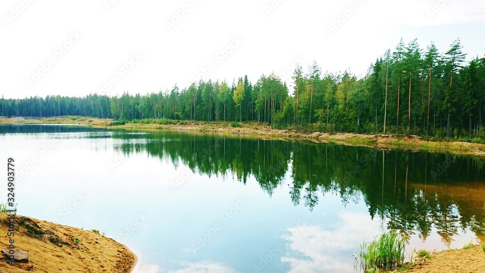 Obraz premium lake in forest