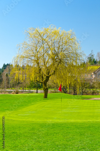 Golf place with gorgeous green
