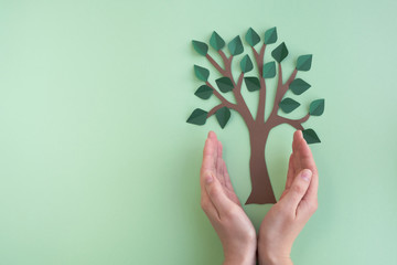 Womans hands hold tree on light green background. Ecology and earth day concept. Top view, flat lay, copy space